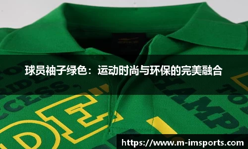 im体育官网