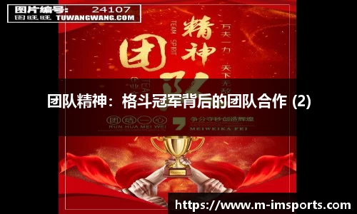 团队精神：格斗冠军背后的团队合作 (2)